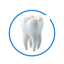 DentalOS